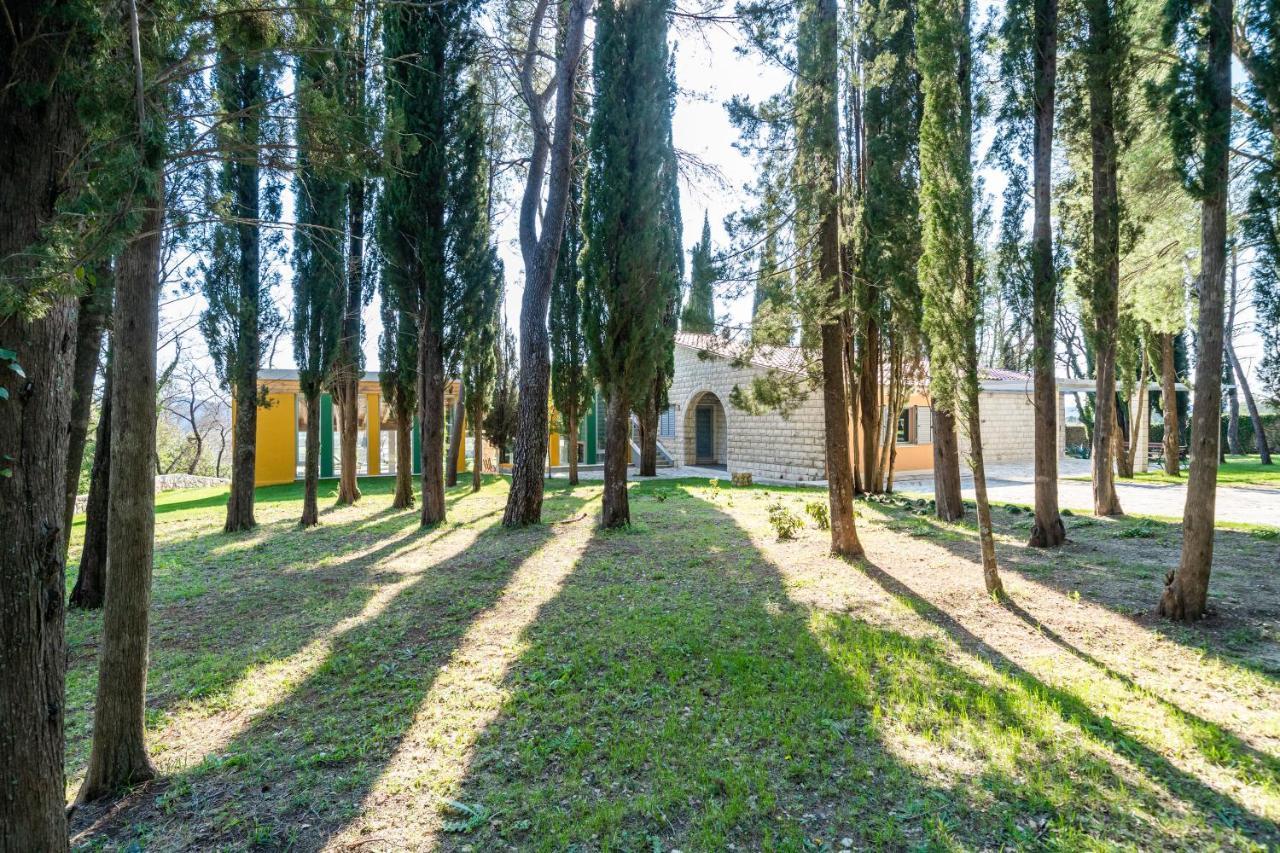 Villa Agave Gruda Extérieur photo